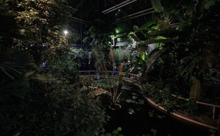 botanicka-zahrada-uk-praha-venkovni-a-sklenikova-expozice